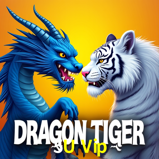 Bonus Features 5U Vip