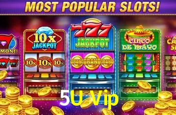 Security Systems 5U Vip