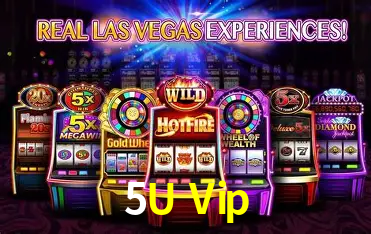 Platform Technology 5U Vip