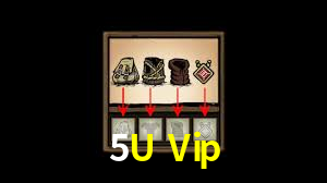 Programa VIP 5U Vip